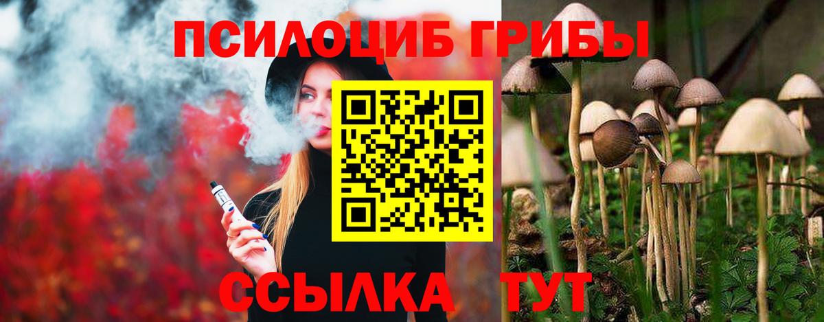 Подольск  Псилоцибиновые грибы мухоморы  Вход с VPN  Псилоцибиновые грибы мухоморы 