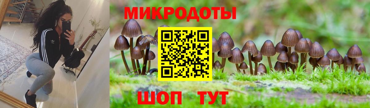 Псилоцибиновые грибы GOLDEN TEACHER Подольск